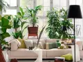 Un salón moderno y luminoso, ideal para decorar con plantas. Un sofá beige, cojines verdes y muchas plantas crean un oasis de frescura.