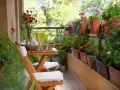 Un balcón acogedor con mesa de madera, sillas, jarra de limonada y muchas plantas. La decoración de mini balcones crea un oasis verde.