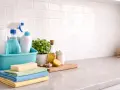 Todo lo necesario para saber como limpiar azulejos baño: esponjas, toallas, spray limpiador, planta y limón.