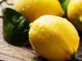 Limones frescos y jugosos, con gotas de agua, listos para usar. Un limonero desde semilla da fruto, ¡qué maravilla!