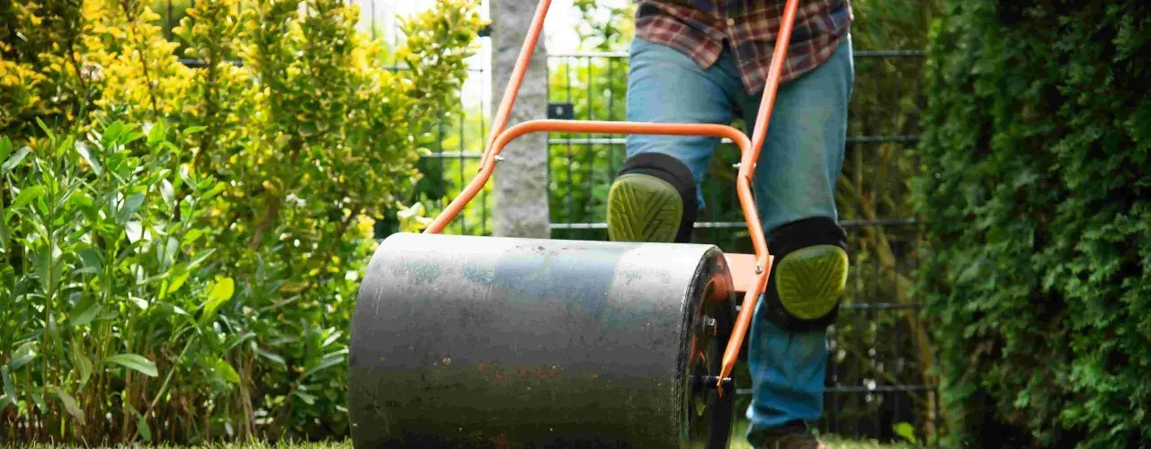 Hombre con rodilleras usa un rodillo para compactar la tierra, ideal para saber cuándo sembrar césped y asegurar un buen crecimiento.