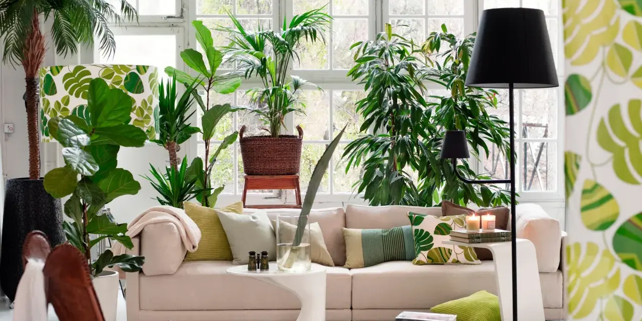 Un salón moderno y luminoso, ideal para decorar con plantas. Un sofá beige, cojines verdes y muchas plantas crean un oasis de frescura.