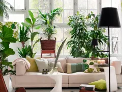 Un salón moderno y luminoso, ideal para decorar con plantas. Un sofá beige, cojines verdes y muchas plantas crean un oasis de frescura.