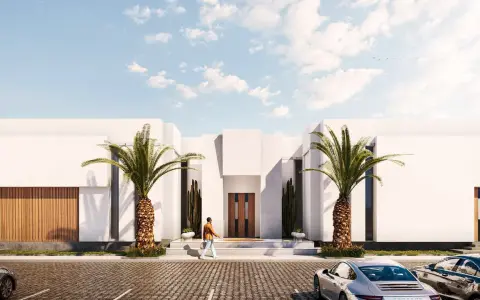 Un hombre camina hacia una casa moderna con palmeras. Se necesita proyecto para hacer un garaje.