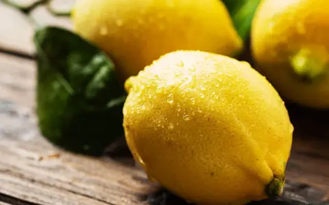 Limones frescos y jugosos, con gotas de agua, listos para usar. Un limonero desde semilla da fruto, ¡qué maravilla!