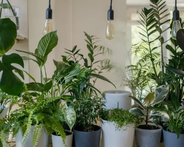 Un rincón lleno de vida, con plantas frondosas y luces cálidas. ¡Perfecto para **regar plantas en vacaciones** y soñar con un oasis verde!