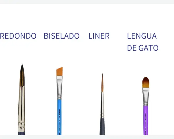 Se muestran varios tipos de pinceles: plano, redondo, biselado, liner, lengua de gato y abanico, cada uno con su nombre escrito.