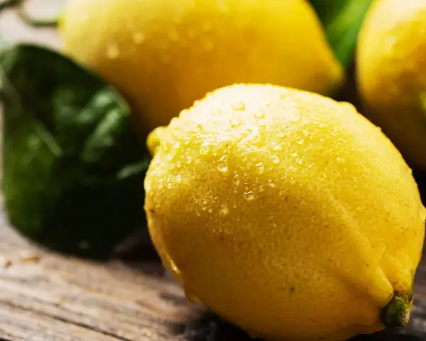 Limones frescos y jugosos, con gotas de agua, listos para usar. Un limonero desde semilla da fruto, ¡qué maravilla!