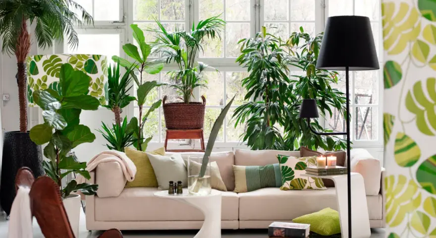Un salón moderno y luminoso, ideal para decorar con plantas. Un sofá beige, cojines verdes y muchas plantas crean un oasis de frescura.
