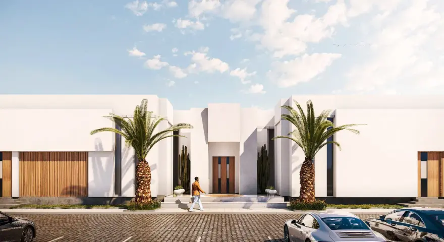 Un hombre camina hacia una casa moderna con palmeras. Se necesita proyecto para hacer un garaje.