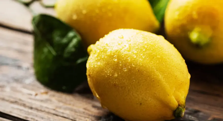 Limones frescos y jugosos, con gotas de agua, listos para usar. Un limonero desde semilla da fruto, ¡qué maravilla!