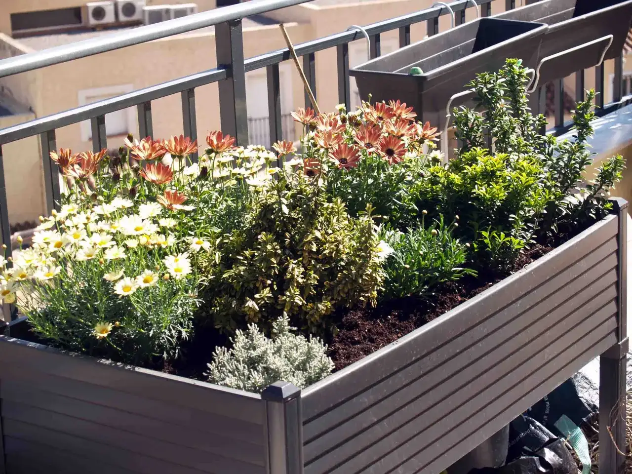 Un balc&oacute;n lleno de flores, con margaritas blancas y anaranjadas, arbustos verdes y una planta gris&aacute;cea.