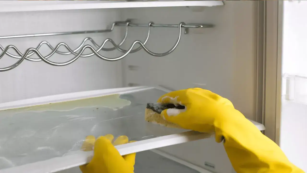 Manos con guantes amarillos limpiando una estanter&iacute;a de nevera sucia. Gu&iacute;a para saber como limpiar la nevera por dentro.