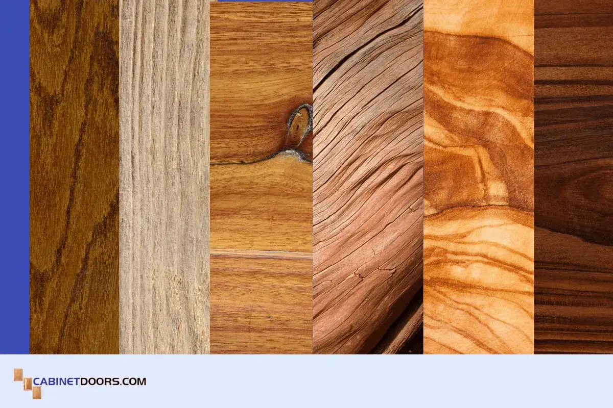 Seis muestras de madera con distintas vetas y tonalidades, desde claras hasta oscuras, mostrando la belleza natural de la veta madera.